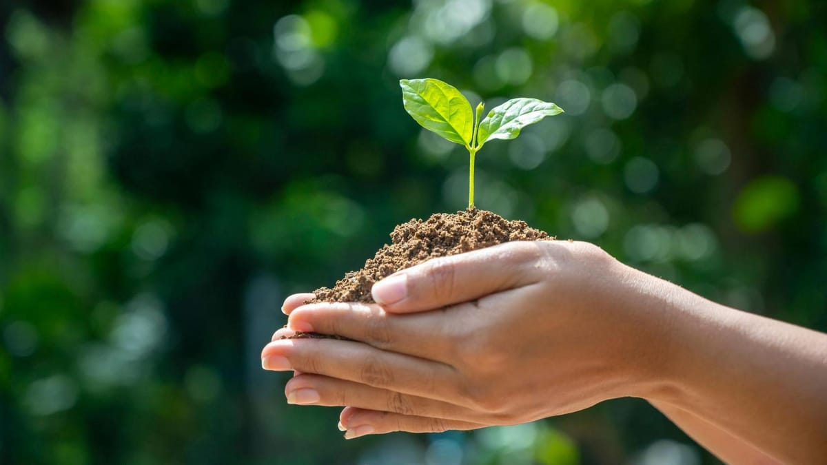 Community Earth Day and campus beautification volunteer projects!